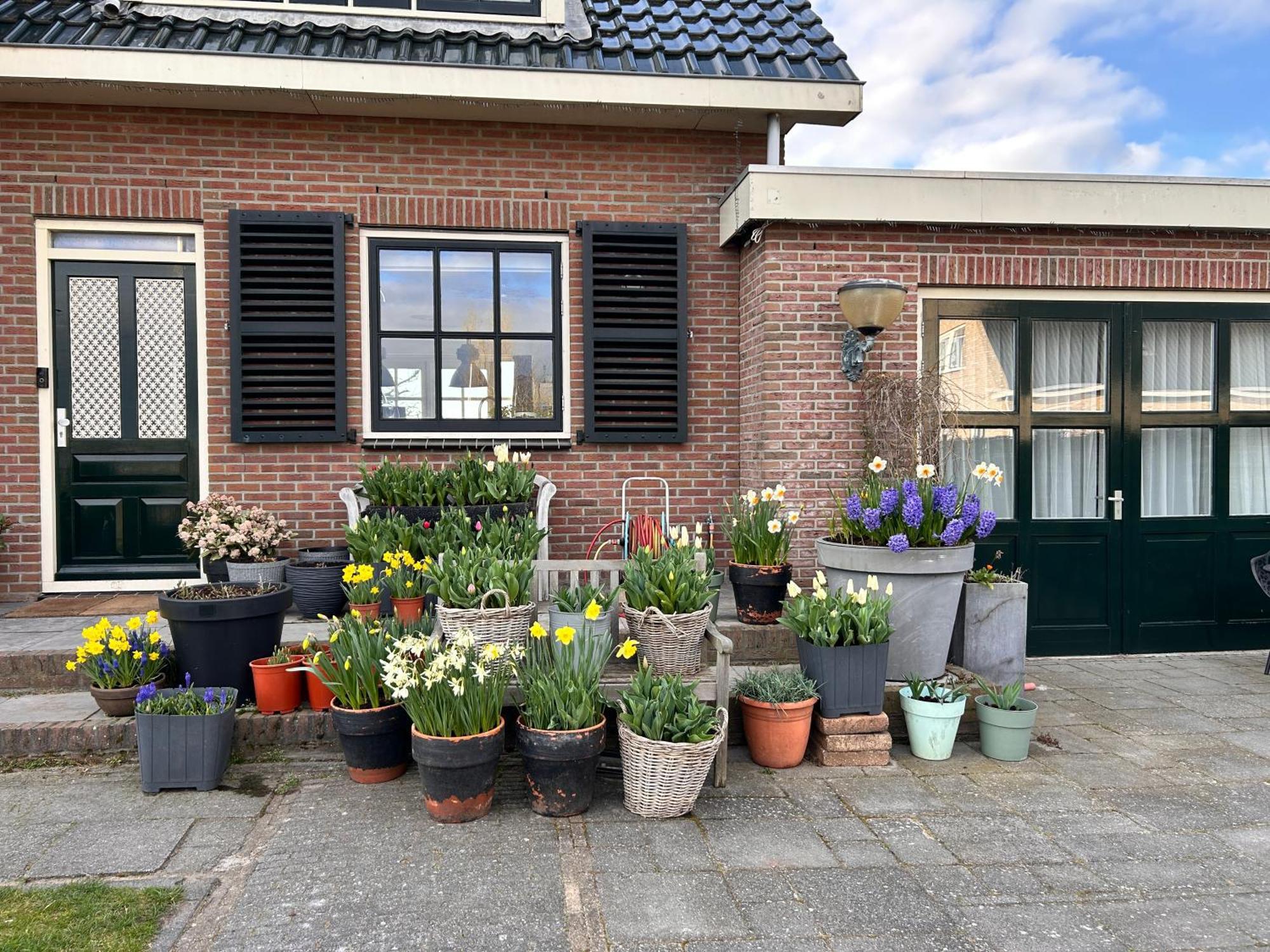 Flowerbed Voorhout Luaran gambar